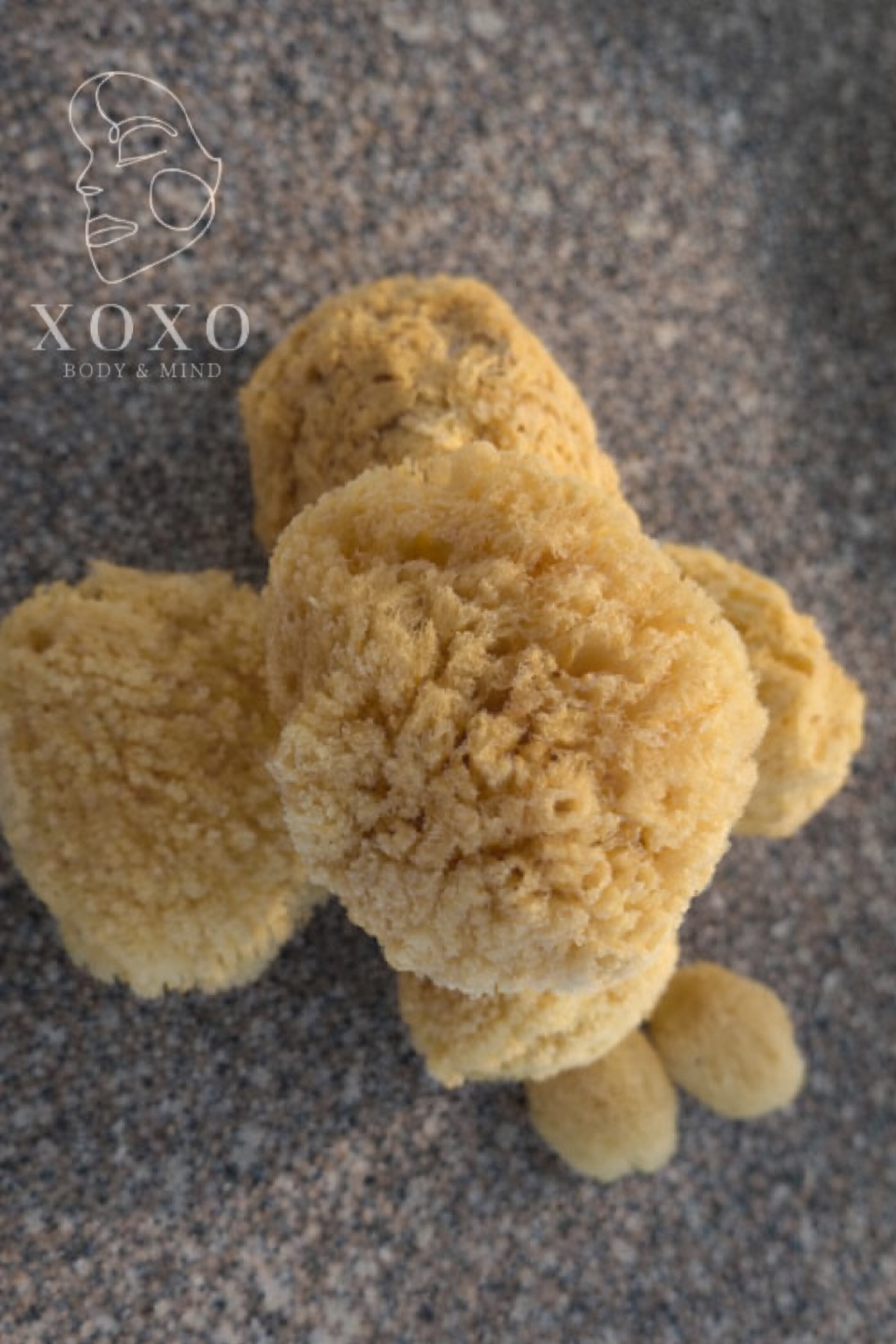 Dead Sea Sponge Variety (Size medium-large)