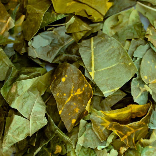 Jamaican PAVANNA LEAF tea blend