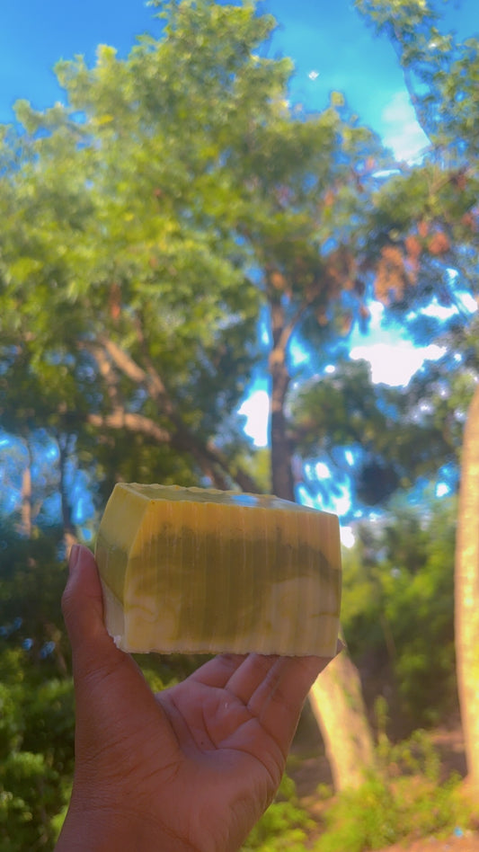 Herbal Allergy/ Congestion Relief Bar