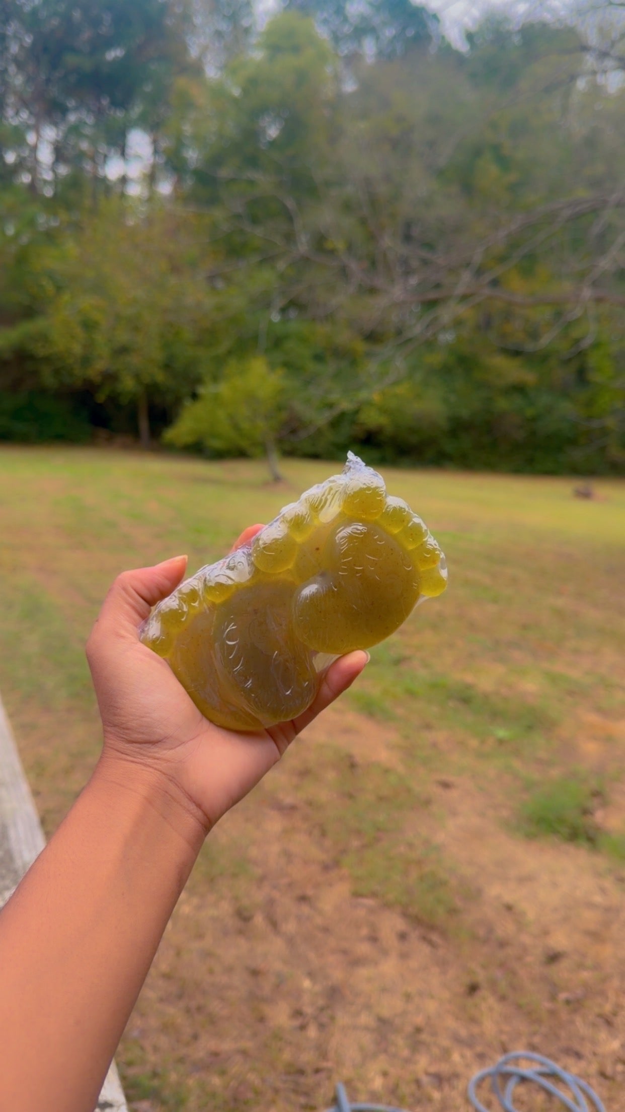 Hand Foot and Mouth Herbal Bar 👶🏽✨ (4 count)